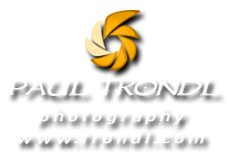 paul trondl